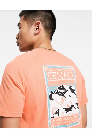 The North Face Homem T-shirts & Manga Curta - Faces Denali back print t-shirt in