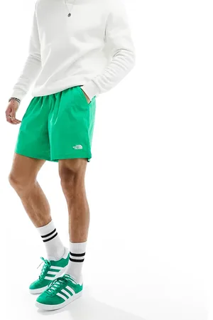 The North Face Class V Pathfinder logo shorts in