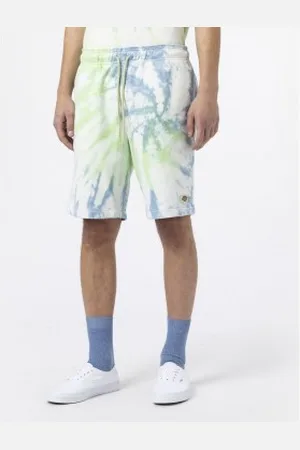 Dickies Para homem. DK0A4XNHC341 Calções multicoloridos Seatac (S), Casual, Esportivo, Algodão, Multisport