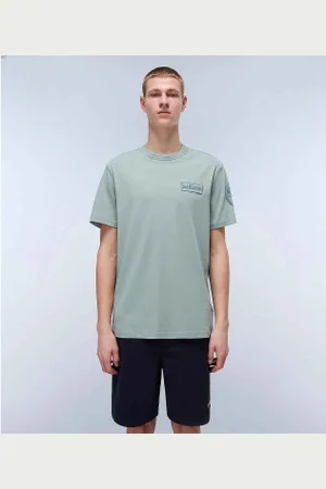 Napapijri Para homem. NP0A4IN8 T-shirt Amundsen (S), Casual, Esportivo, Algodão, Multisport, Manga curta