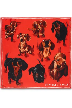 Bimba y Lola Dog-print scarf