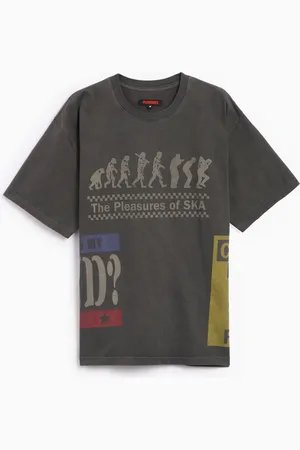 Pleasures Evolution Men