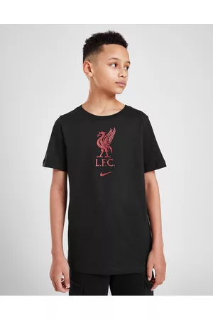 Nike T-shirts & Manga Curta - T-Shirt Liverpool FC Crest para Júnior