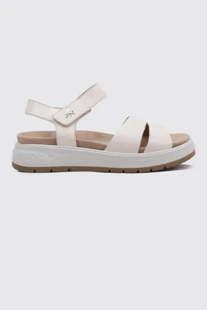 Fluchos F2006 36