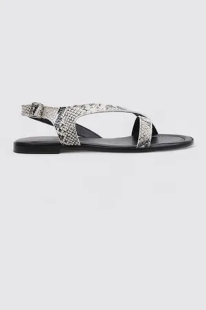 Sandra fontan BLASS 36