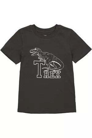 La Redoute Infantil T-shirts & Manga Curta - T-shirt de gola redonda, T-Rex