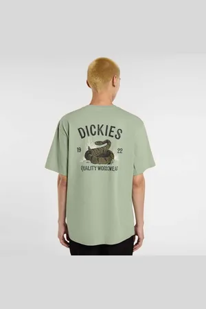 Dickies Snake Tee homem T-shirts e polos verde tamanho M Vestuário